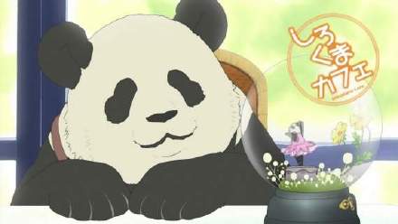《白熊咖啡厅》动画将于4月开播,会是新作吗？